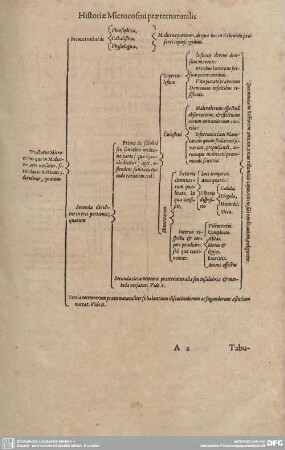 Historiae Microcosmi praeternaturalis