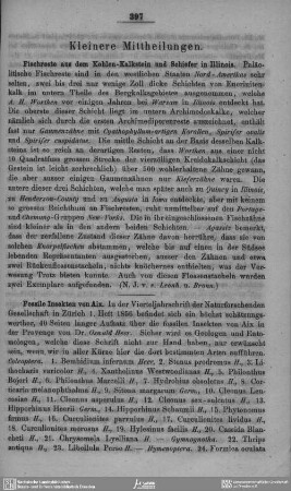 Kleinere Mittheilungen