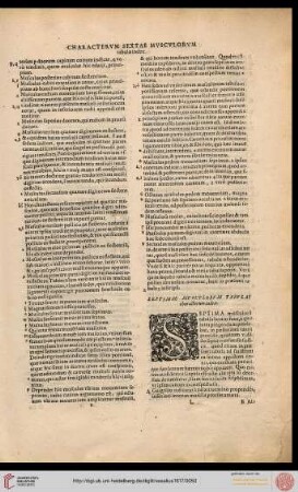 Septimae musculorum tabulae characterum index