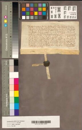 Johann von Patteren empfängt das Haus Höngen (Hoegngen) zum Jülicher Lehen und Offenhaus.