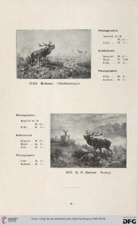 [Jagd, Sport und Tiere]