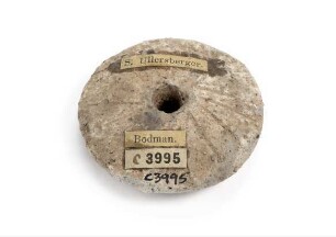 Spinnwirtel (C 3995)