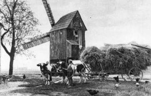 Falkenhain-Kühnitzsch. Bockmühle, 1932/1933, Repro