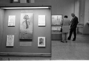 Sammlung von Öhninger Versteinerungen bei den Landessammlungen für Naturkunde