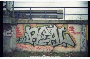 COOL REAL | WE JUST DONT STOP! | FUCK ViVA + FREESTYLE | TO ROYAL! | RHC SAA