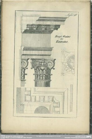 Tafel XIV. Haupt-Gesims der Romana
