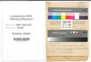 Entnazifizierung Walter Scheiwe, geb. 07.06.1892 (Kunstmaler)