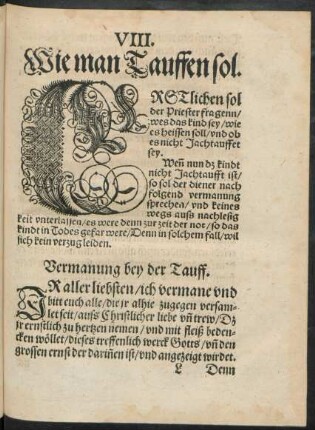 VIII. Wie man Tauffen sol.