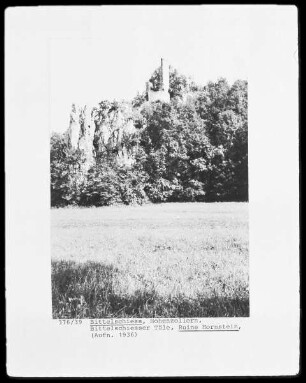Ruine Hornstein