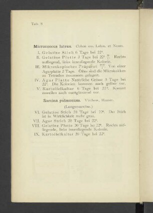 Tab. 8 Micrococcus luteus. - Sarcina pulmonum