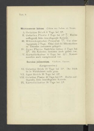 Tab. 8 Micrococcus luteus. - Sarcina pulmonum