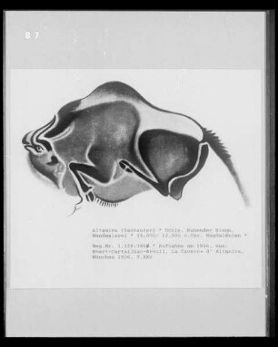 Wandmalerei in der Höhlenwohnung in der Altamira-Höhle: Bison