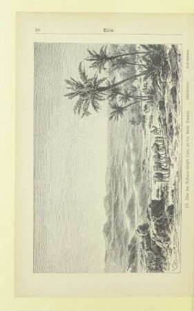 15. Aus der Sahara