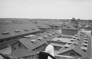 Zweiter Weltkrieg. Niederlande unter deutscher Besatzung. Unterkunft der deutschen Wehrmacht, vielleicht in einem Gestüt (wohl bei Den Haag)