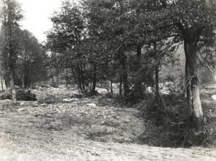 Gottleubatal. Oelsengrund. Zugeschwemmtes Flussbett, rechts neues Bachbett nach der Unwetterkatastrophe 8./9. Juli 1927