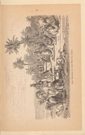 Eine Karawane in einer Oase der Sahara