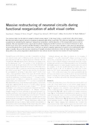 Massive restructuring of neuronal circuits during functional reorganization of adult visual cortex