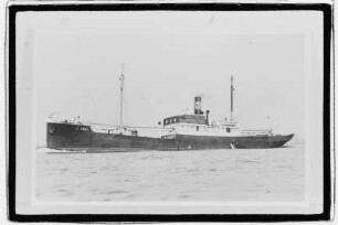 Lena (1910), Stettiner Dampfer Co.