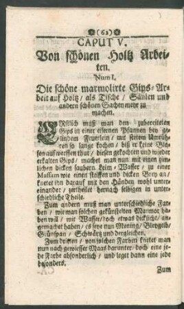 Caput V. Von schönen Holtz Arbeiten.