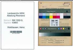 Entnazifizierung Heinz Waldhausen, geb. 20.07.1905 (Polsterer)