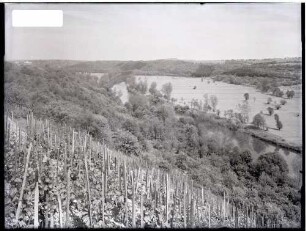 Alter Neckar stromaufwärts, von Marbach aus gesehen