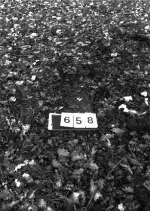 Grabstein 658