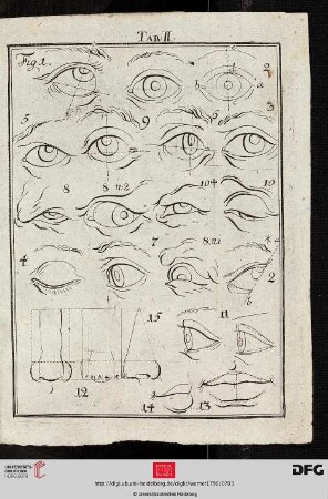 Tab. II [Augen, Mund, Nase (Schemata; div. Ansichten)]