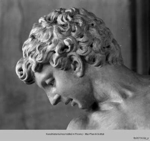 Bacchus mit dem Panther - Bacchus