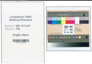 Entnazifizierung Maria Engels , geb. 20.11.1887 ()