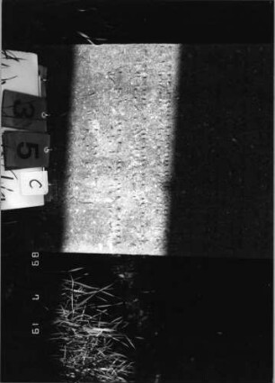 Grabstein 35 (Index: 99796337) Material: Sandstein Zustand: verwittert mit Textverlust Maße HxBxT: 97x56x11 cm Beschreibung: Stele, Abdeckplatte mit Segmentbogenaufsatz Symbolik: gekreuzte Palmzweige: Grabstein 35C