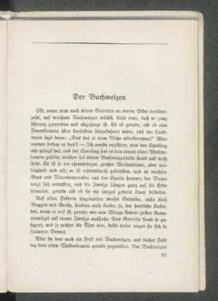Der Buchweizen