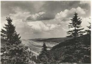 Oberwiesenthal (911 m). Blick den Zechengrund (Naturschutzgebiet) abwärts