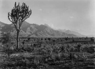 Die Uluguru-Berge : Ausläufer der Uluguru-Berge