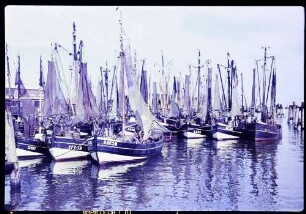 Cuxhaven: Fischerboote im Hafen