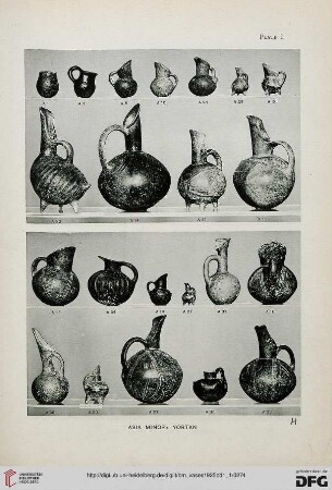 Plate I - XVI