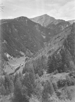 Bergwald : Blick über bewaldete Berge