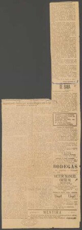 Importante hallazgo arqueológico en Loja. : Impresiones y recuerdos [Loja, 24 de Agosto de 1919.]