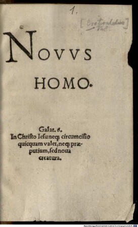 Novvs homo