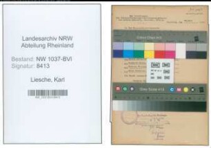 Entnazifizierung Karl Liesche , geb. 11.12.1888 (Hotelier)