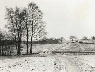 Oberlausitz. Ackerbauflächen zur Zeit der Schneeschmelze bei Bühlau im Kreis Bischofswerda