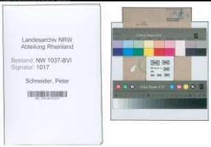 Entnazifizierung Peter Schneider , geb. 12.11.1896 (Goldschmied)