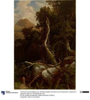 Westliche Spitzen der Silla von der Quebrada in Galipan bei Laguaira
