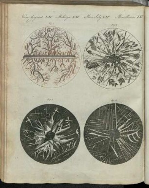 No. 94. Vermischte Gegenstände LXV. Mikroskopische Beobachtungen Über Die Crystallisation Der Metalle.