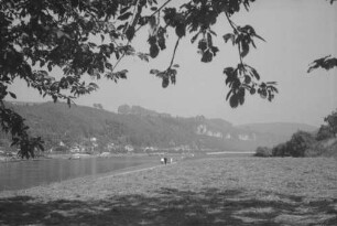Bad Schandau: Schrammsteine, Vordergrund Elbe, von der Krippener Seite