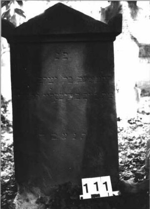 Grabstein 111 (Index: 100085520) Maße HxBxT: 112x54x12 cm Beschreibung: Stele, giebelartiger Abschluß mit Eckakroteren: Grabstein 111