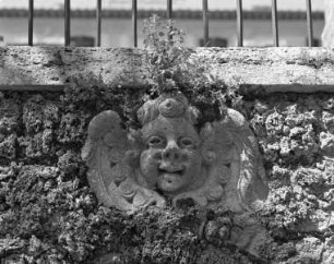 Cherub