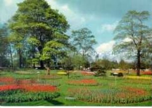 Postkarte zur Internationalen Gartenbau-Ausstellung in Hamburg 1963