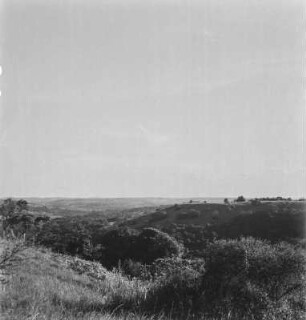 Landschaft : Bewaldete Landschaft bei Masala