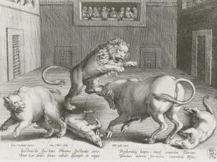 Stier und Löwe