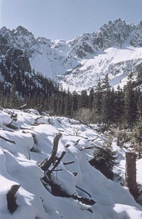 Mittenwald. Schneebedeckte Alpen
